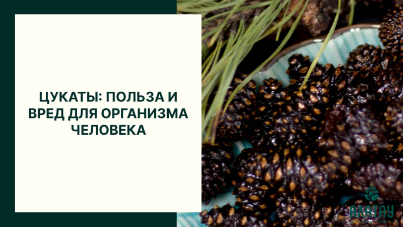 Цукаты: польза и вред для организма человека Цукаты: польза и вред для организма человека