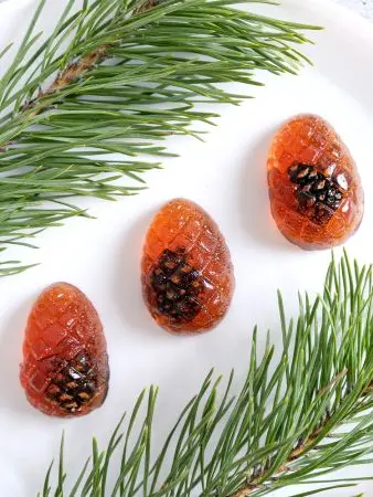 Мармелад с сосновой шишкой, 1 кг