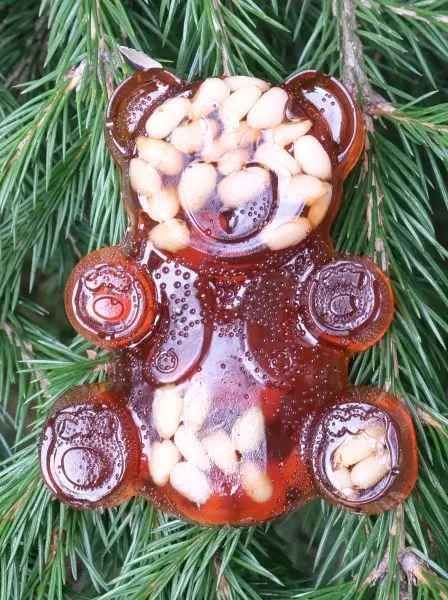 Мармелад сосновый МИШКА на пектине с кедровыми орешками